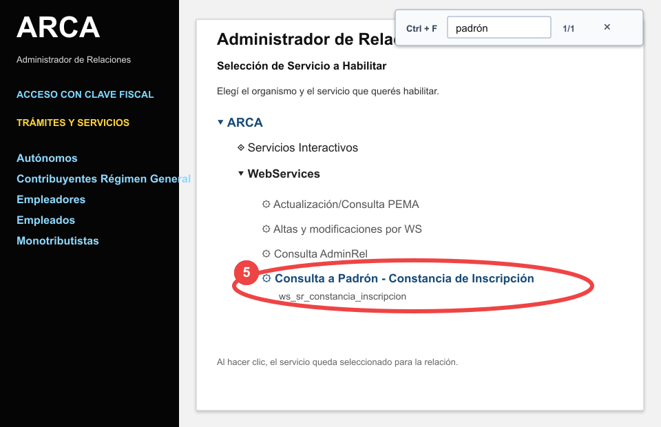 Búsqueda del navegador con la palabra padrón y el servicio Consulta a Padrón marcado